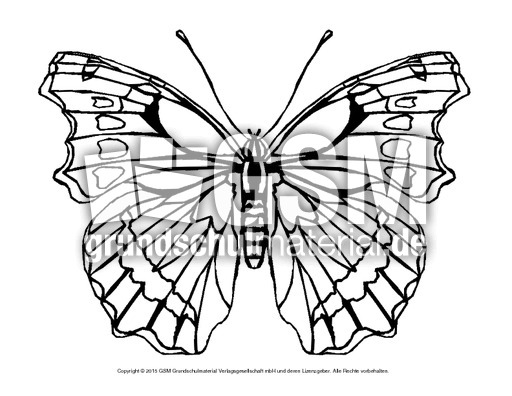Ausmalbild-Schmetterling 7.pdf